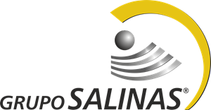 logo-salinas
